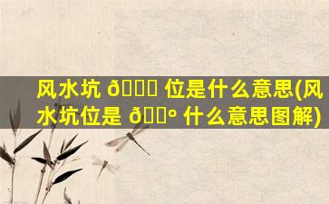 风水坑 🐞 位是什么意思(风水坑位是 🌺 什么意思图解)